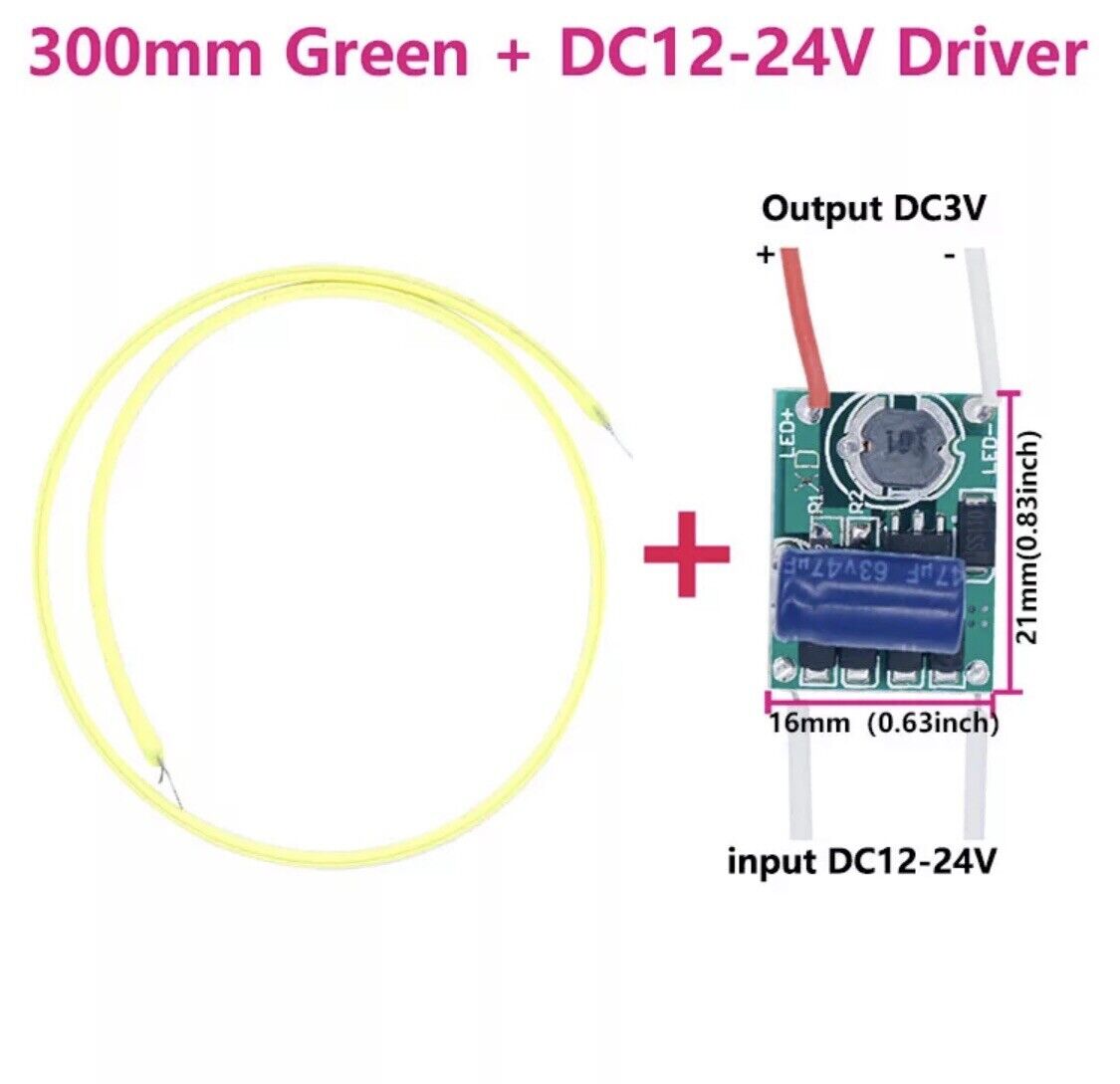 1PR 12-24VDC ~ 3V 50-60mA Constant Current Led Driver + 300mm LED Filament Green