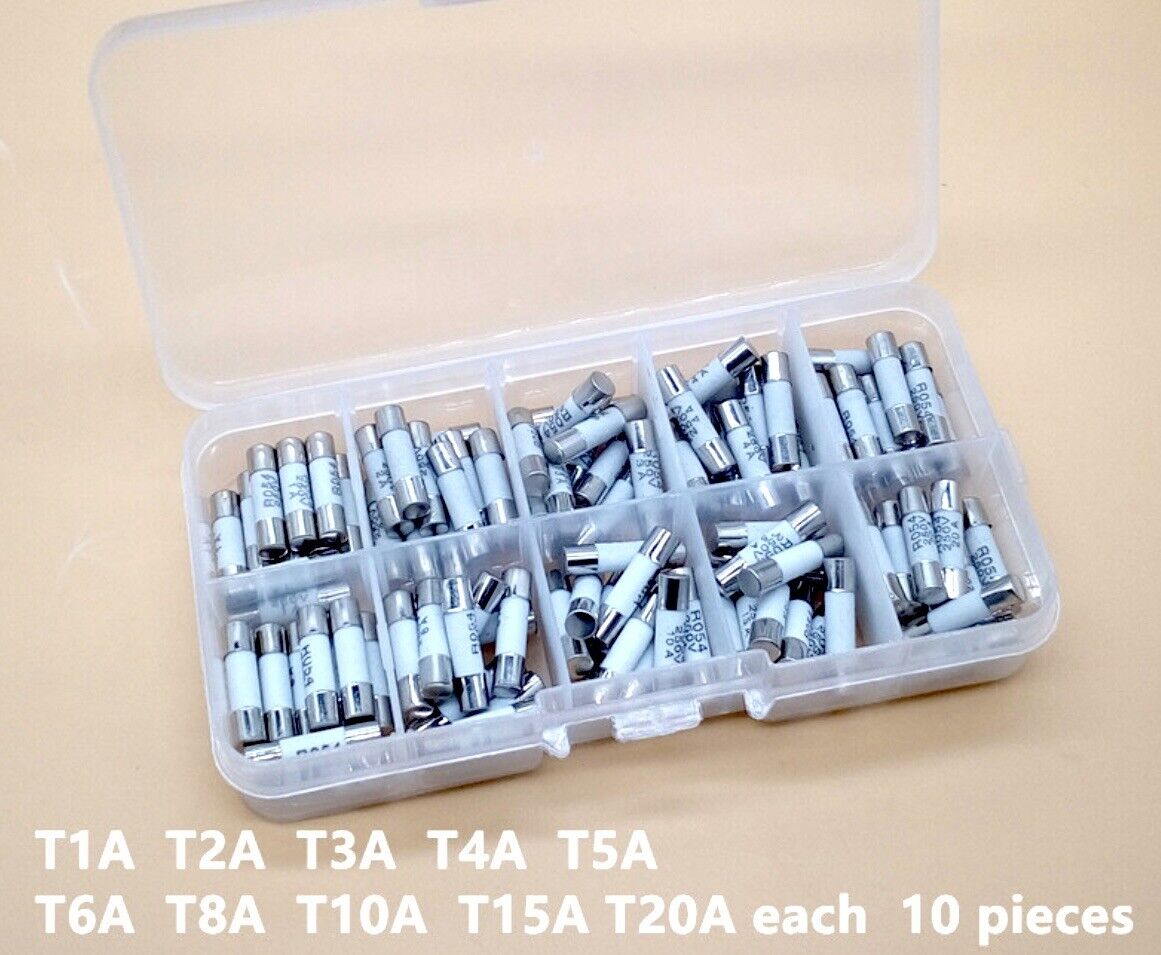 100PCS M205 5x20mm SLOW Blow Ceramic Fuses R054 250V 1~2~3~4~5~6~8~10~15~20A Kit